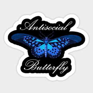 Antisocial Butterfly Sticker